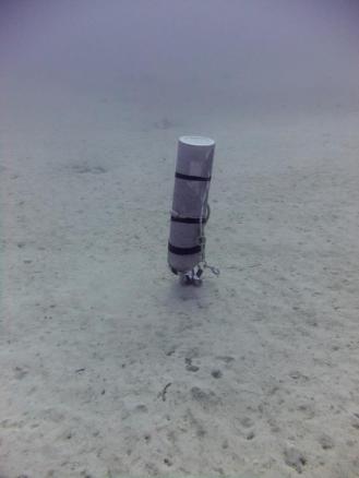 Steve grabbed a quick picture of the stage that I dropped before picking it up.