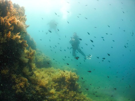 Brad and Amanda exploring the reef: Secca Punta Secca