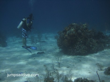 Demonstrating neutral buoyancy – hovering can be vertical or horizontal