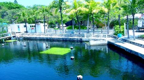 JUles' Underwater Lodge - The location of our Open Water evaluations