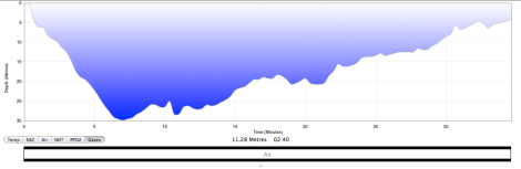 The dive profile for Sharleen's deep dive.