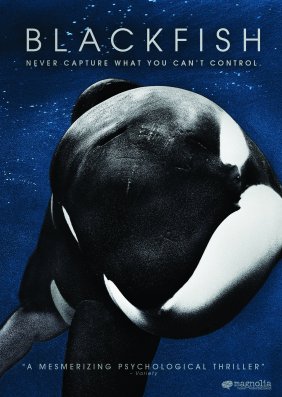 Blackfish - definitely one to watch