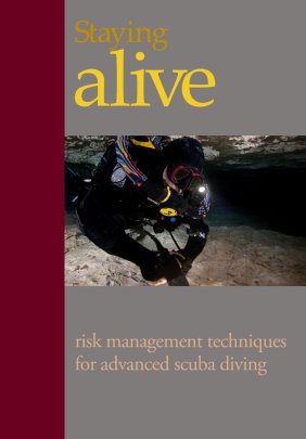 Staying Alive - Steve Lewis