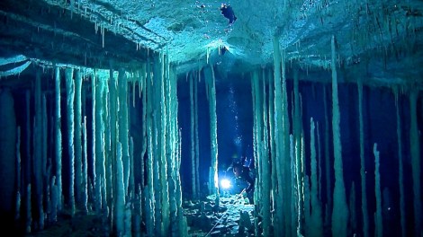 Photo from oxy-doc.com