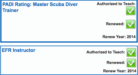 Now rated as an MSDT - What's next?