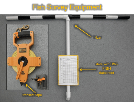 Fish Survey Equipment
