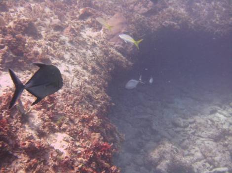 Could there be a cave inside?