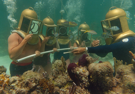 Looking at the coral while taking part in Hartley's Undersea Walk