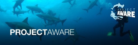 project-aware-banner