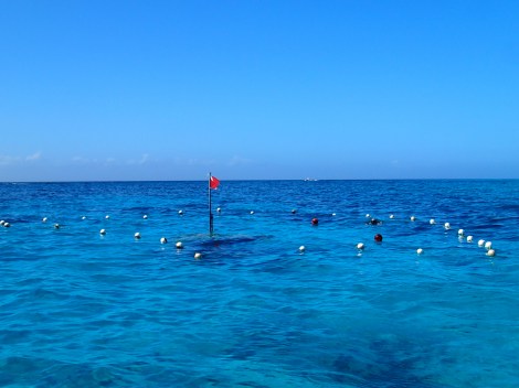 Buoys successfully installed