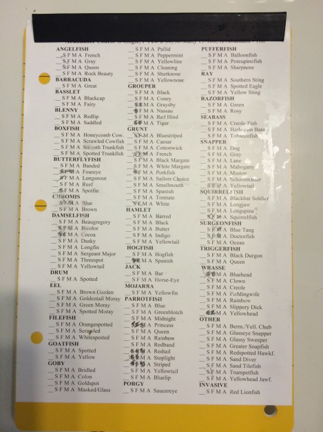 A completed reef.org survey sheet.