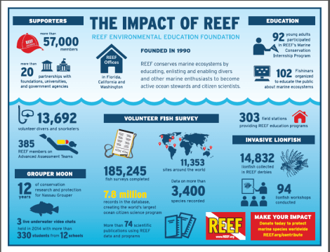 REEF_impact_info