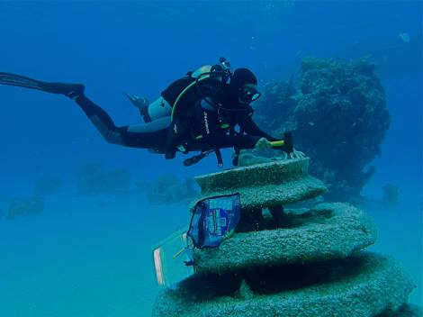 10537951_10152572207987115_9219934341470580112_o