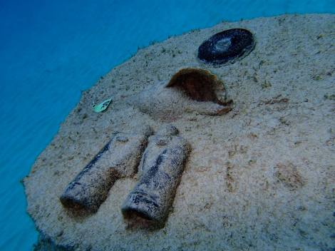 Some of the reef balls have items lodged into them, it really makes them a little more interesting to look at and gives some small homes for some small critters.