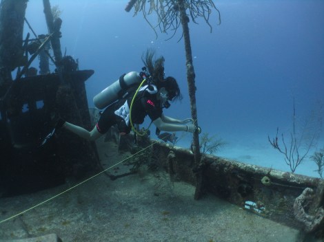 My old yellow #24 nylon line - not very bright at all.