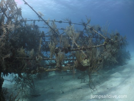The Vulcan Bomber (or what is left of it)