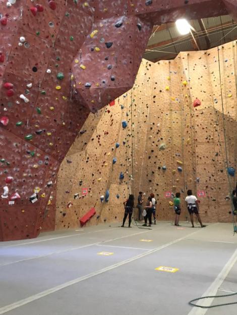 One of the many climbing walls